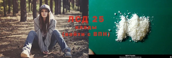 винт Осташков
