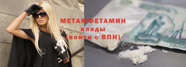 трава Няндома