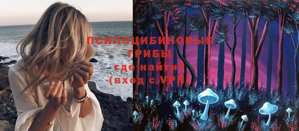 СК Осинники