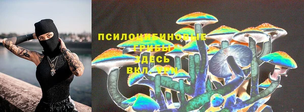 винт Осташков