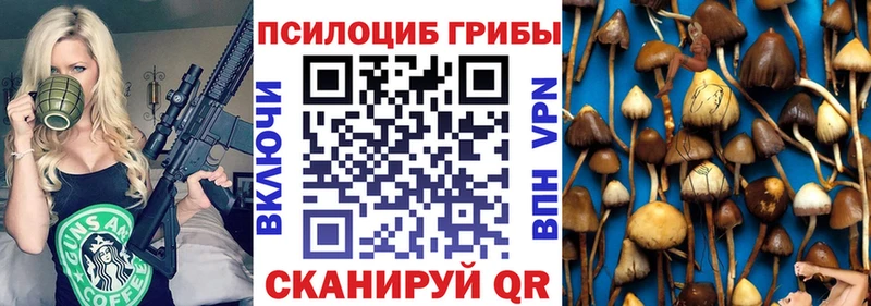 KRAKEN рабочий сайт Суоярви даркнет клад купить закладку Галлюциногенные грибы Psilocybe